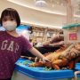 Pameran Bunny ‘n Friends di Trans Studio Mall