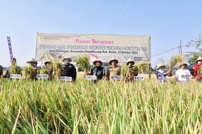 panen raya di sulsel, pupuk indonesia siapkan pupuk bersubsidi untuk petani