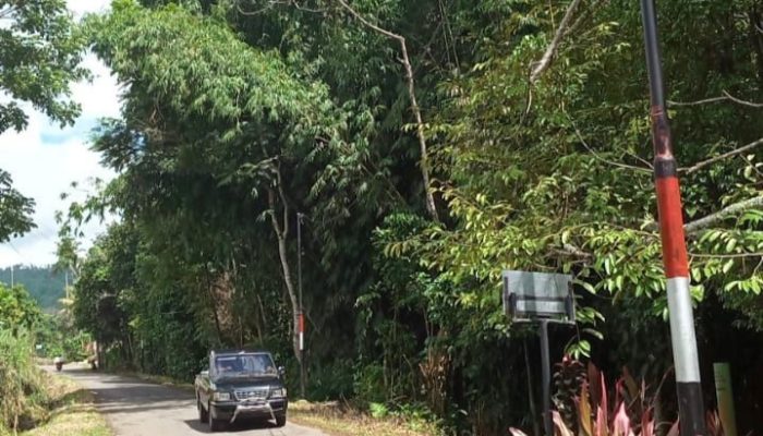 Tombolo Energy Terangi Jalan Desa, Bantu Instalasi Listrik Hingga Pemeliharaan