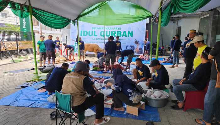 Idul Adha 1445 H, Pegadaian Kanwil Makassar Potong dan Bagikan 107 Ekor Hewan Qurban