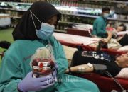 Peringati Hari Donor Darah Sedunia, Ace Hardware Gelar Aksi Donor Darah