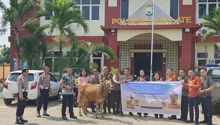 Karyawan Mercure Makassar Nexa Pettarani Ikut Berqurban Pada Lebaran Tahun Ini