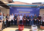 Jalankan Fungsi Community Protector, Bea Cukai Makassar Musnahkan Jutaan Barang Ilegal