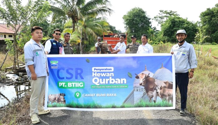 Huabao Indonesia Salurkan CSR, 17 Hewan Kurban untuk Warga Sekitar Lingkar Industri