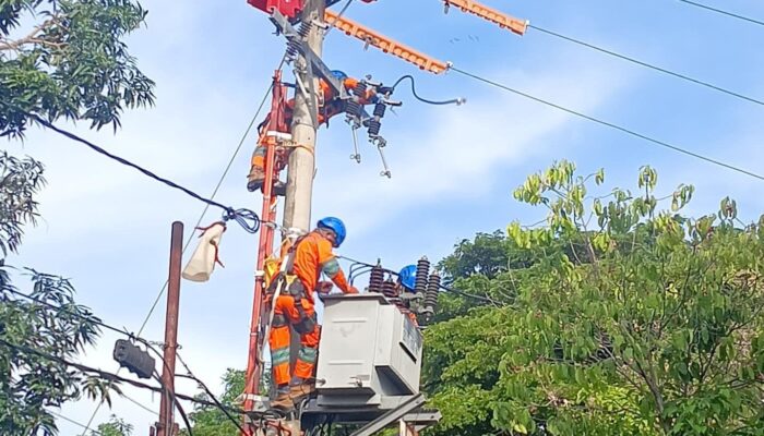 Rayakan Hari Kemerdekaan dengan Aman, PLN Imbau Jaga Jarak Aman Pasang Atribut dari Jaringan Listrik