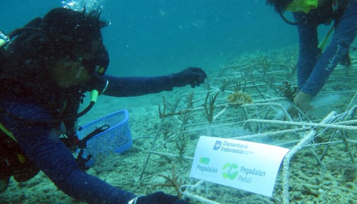 Pegadaian Makassar Galakkan Transplantasi Karang di Pulau Barrang Lompo untuk Pulihkan Ekosistem Laut