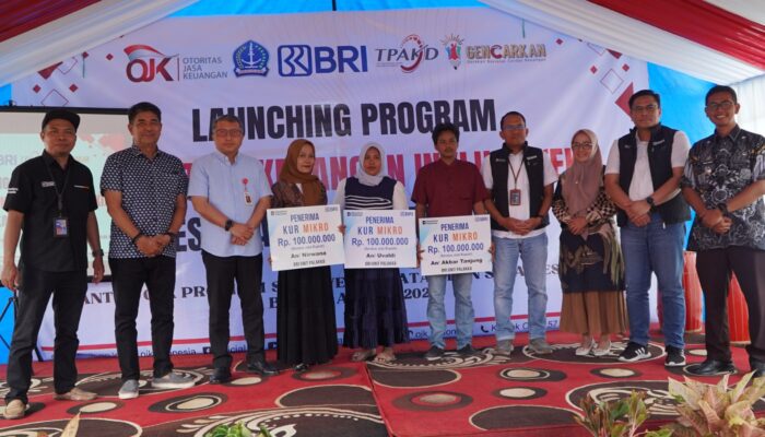 Desa Bacu Jadi Percontohan Ekosistem Keuangan Inklusif di Bone