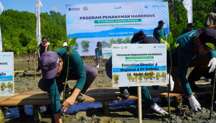 Peringati Hari Maritim Nasional 2025, Pelindo Regional 4 Kick Off Rehabilitasi Mangrove di Bone