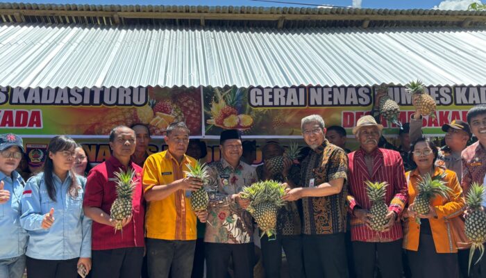 OJK dan Pemda Sulselbar Dorong Literasi Keuangan Lewat Gencarkan di Mamasa dan Parepare