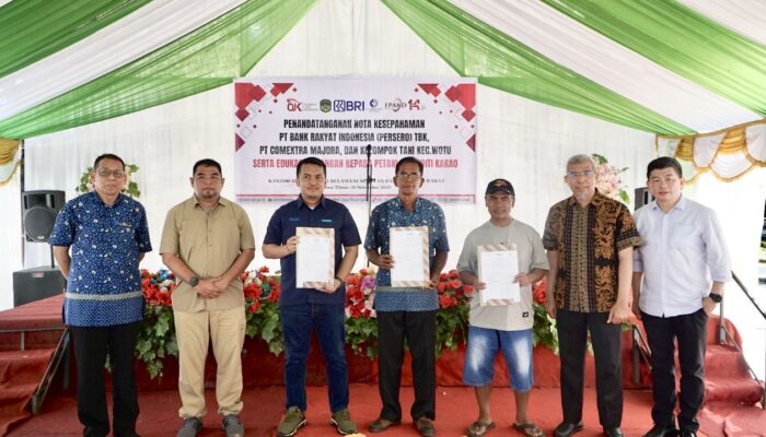 OJK, Pemda, dan Pelaku Usaha Satukan Langkah Perkuat Akses Keuangan Petani Kakao Luwu Timur