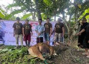 KM Bulukumba Konsisten Gelar Qurban Bersama, Jangkau Pelosok Bulukumba