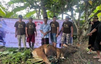 KM Bulukumba Konsisten Gelar Qurban Bersama, Jangkau Pelosok Bulukumba