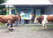 Iduladha 1447 H, Telkomsel Distribusikan Hewan Kurban hingga Wilayah Prioritas Nasional
