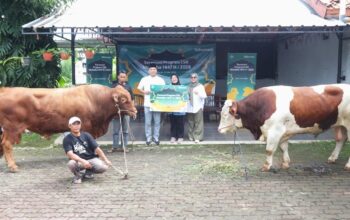 Iduladha 1447 H, Telkomsel Distribusikan Hewan Kurban hingga Wilayah Prioritas Nasional