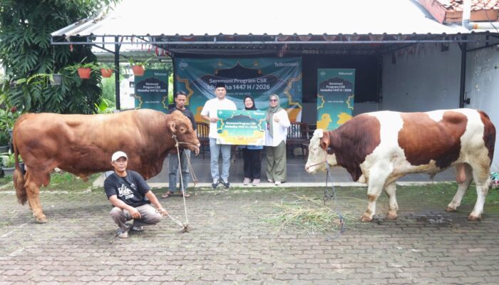 Iduladha 1447 H, Telkomsel Distribusikan Hewan Kurban hingga Wilayah Prioritas Nasional