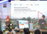 OJK-ILO Dorong Modernisasi Peternakan melalui ERP dan Pembiayaan Inklusif