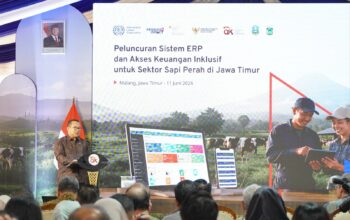 OJK-ILO Dorong Modernisasi Peternakan melalui ERP dan Pembiayaan Inklusif