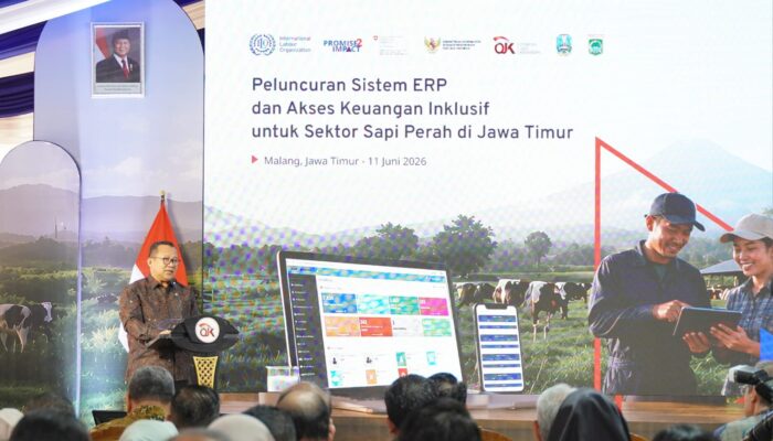 OJK-ILO Dorong Modernisasi Peternakan melalui ERP dan Pembiayaan Inklusif