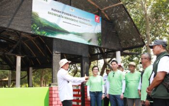 AHM Bangun Rumah Semai Mangrove Demi Lingkungan dan Ekonomi Warga Karawang