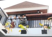 Bukit Baruga Tawarkan Ekosistem Hunian Nyaman dengan Fasilitas Lengkap