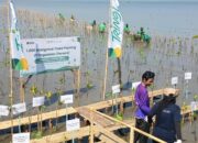 Pegadaian Syariah Dorong Investasi Hijau Lewat 1.000 Mangrove