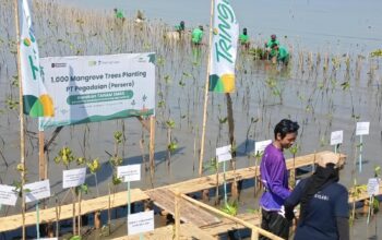 Pegadaian Syariah Dorong Investasi Hijau Lewat 1.000 Mangrove