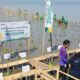 Pegadaian Syariah Dorong Investasi Hijau Lewat 1.000 Mangrove