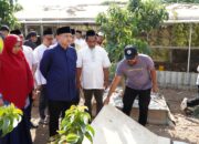 Bukit Baruga Kembangkan Urban Farming Terintegrasi di Makassar