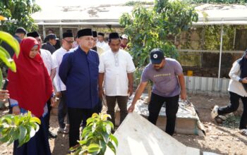 Bukit Baruga Kembangkan Urban Farming Terintegrasi di Makassar