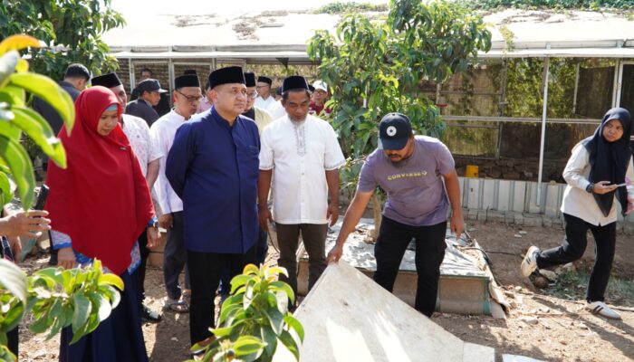 Bukit Baruga Kembangkan Urban Farming Terintegrasi di Makassar
