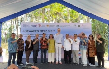 OJK Dorong Inklusi Keuangan Petani Rumput Laut Lewat e-Seaweed