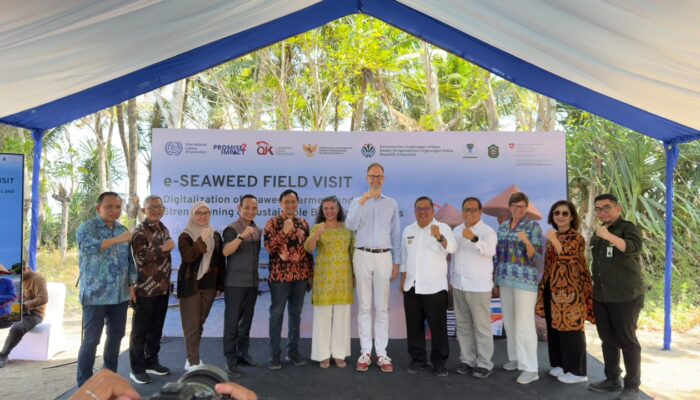 OJK Dorong Inklusi Keuangan Petani Rumput Laut Lewat e-Seaweed
