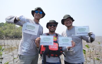 Kalla Toyota Tanam 43.000 Mangrove untuk Perkuat Pesisir Pangkep