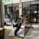 HUT Sulsel ke-357, Asmo Sulsel Tebar Promo Pake Honda Bikin Tenang